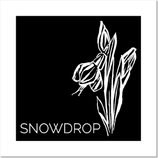 snowdrop white flower Posters and Art